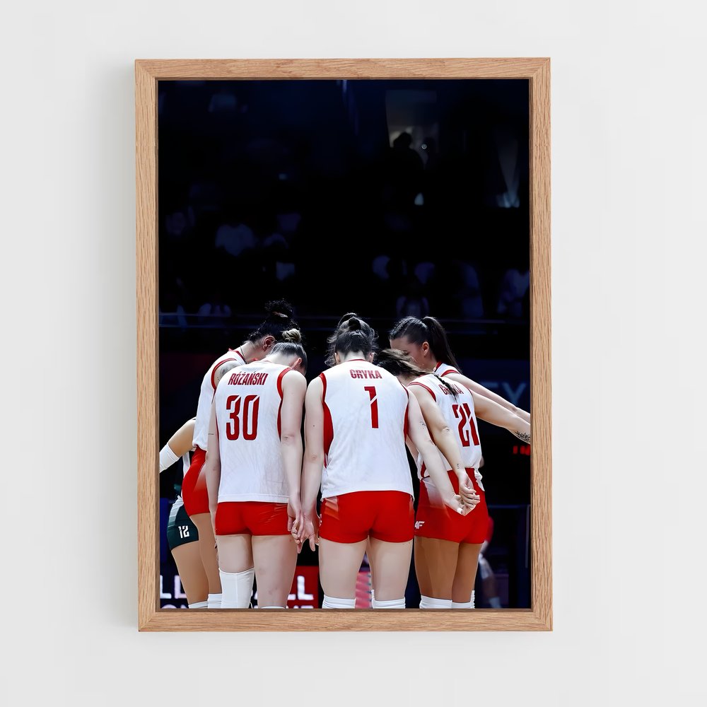 ap-poland national volleyball team-4 cadre Bois clair