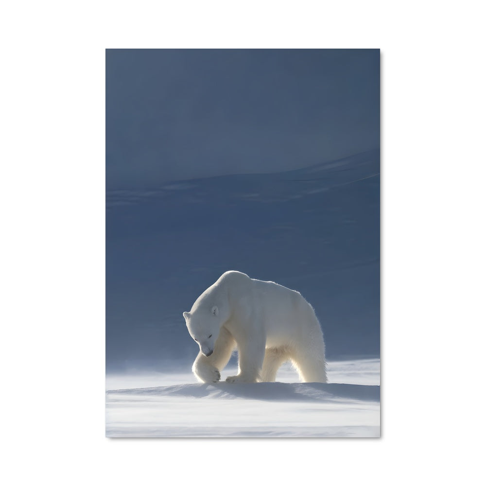 Poster Ours des Neiges