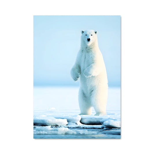Poster Polar bear 84150