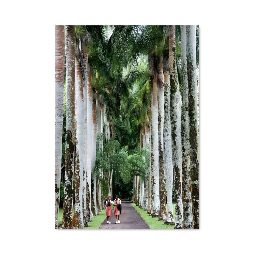 Poster Sous les Palmiers