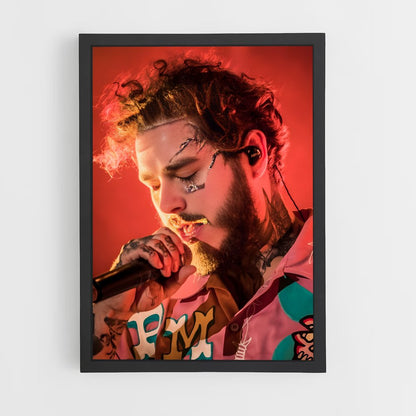ap-post malone-2 cadre Noir