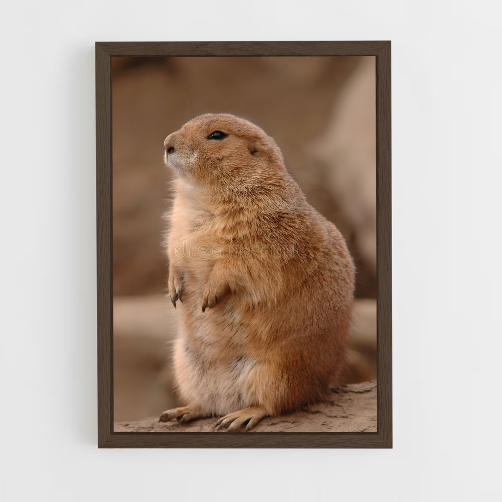 ap-prairie dog-1 cadre Bois foncé