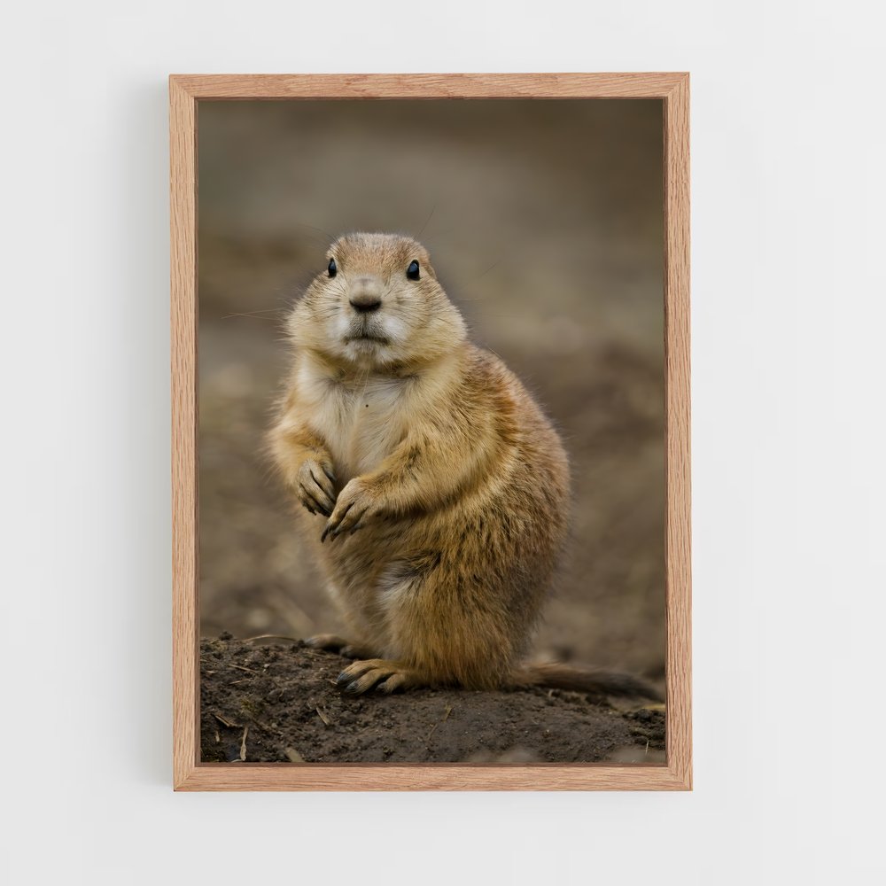 ap-prairie dog-4 cadre Bois clair