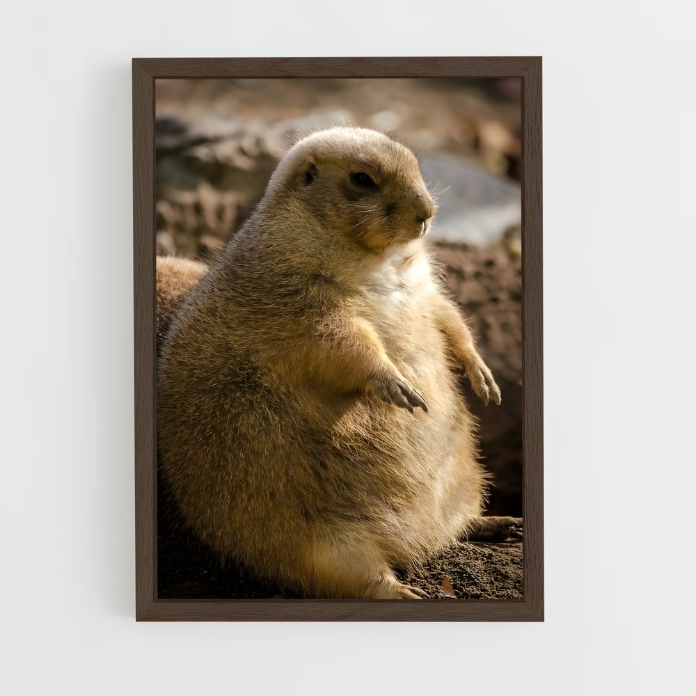 ap-prairie dog-6 cadre Bois foncé