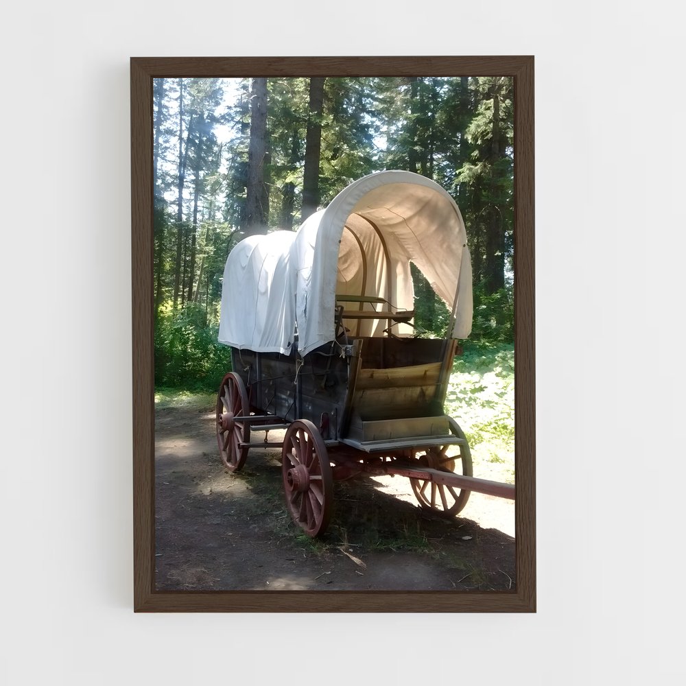 ap-prairie schooner-1 cadre Bois foncé