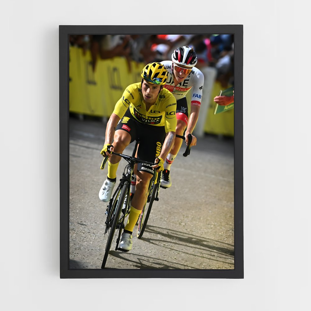ap-primoz roglic-2 cadre Noir