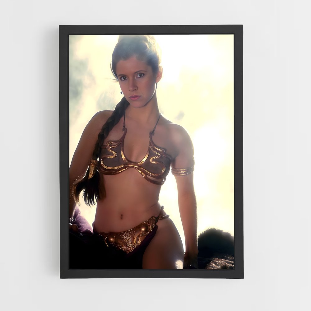ap-princess leia-6 cadre Noir