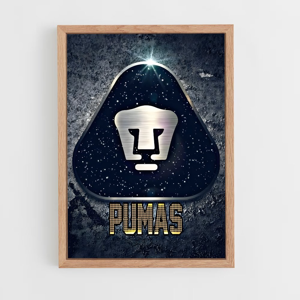 ap-pumas unam-2 cadre Bois clair