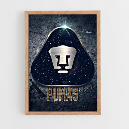 ap-pumas unam-2 cadre Bois clair