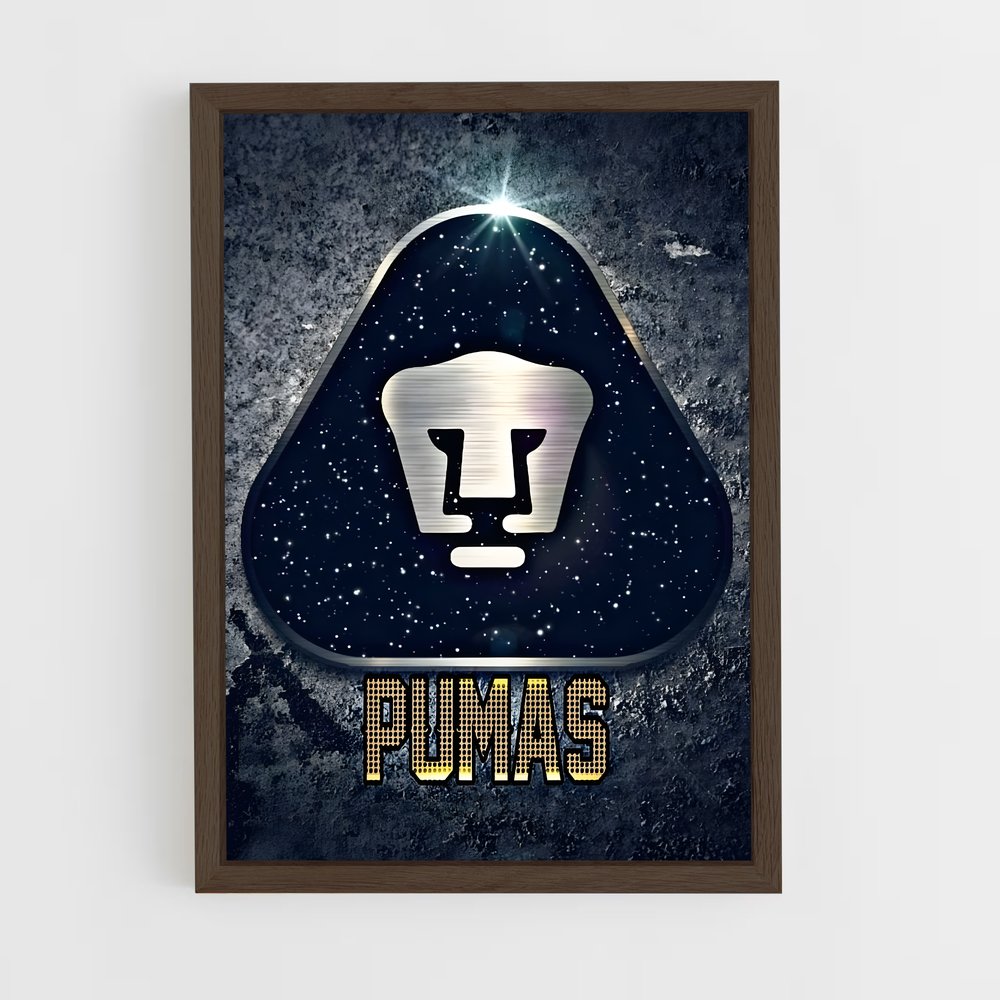 ap-pumas unam-2 cadre Bois foncé