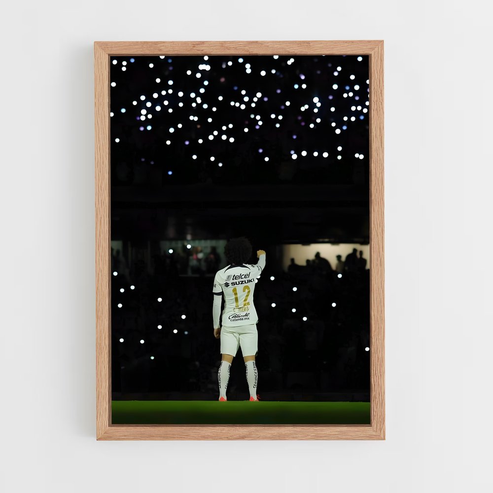 ap-pumas unam-4 cadre Bois clair