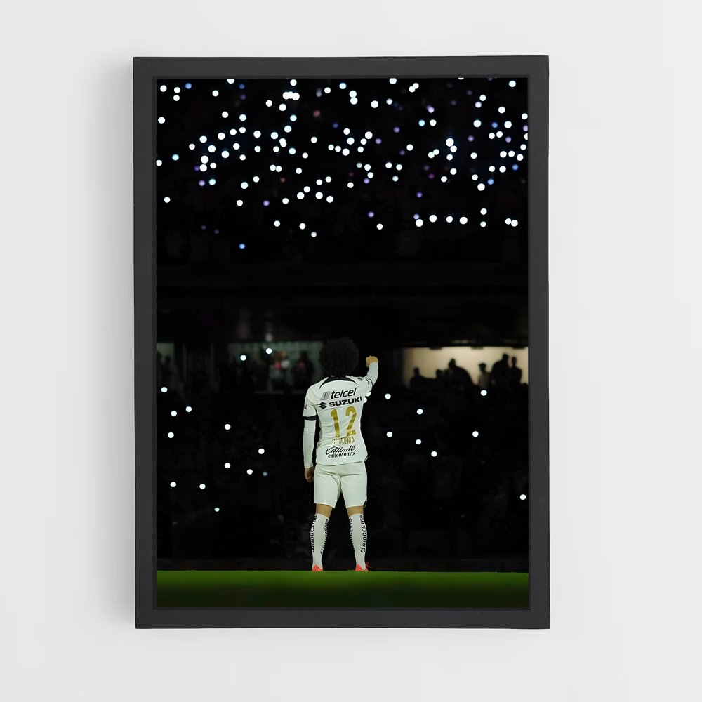 ap-pumas unam-4 cadre Noir