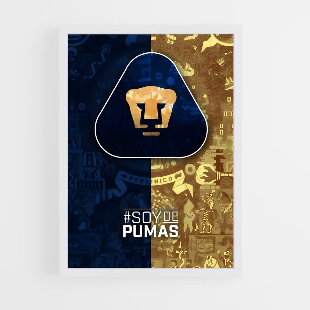 ap-pumas unam-6 cadre Blanc