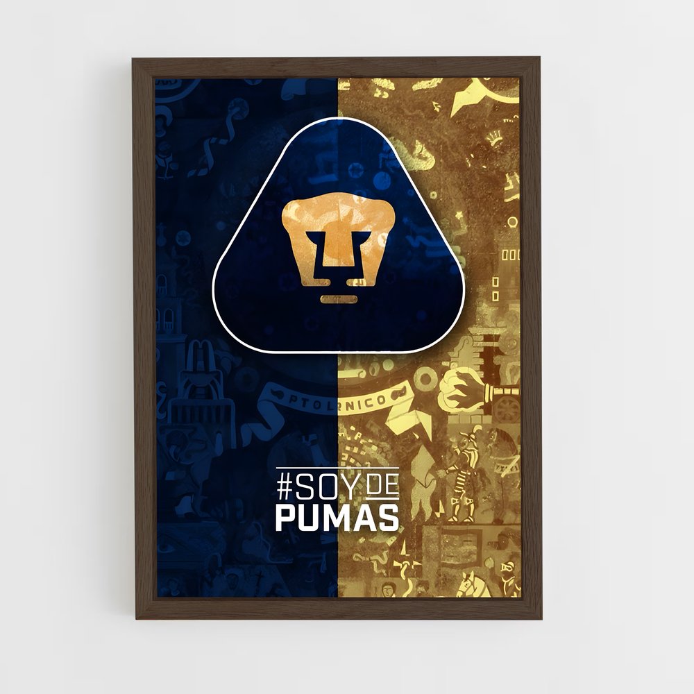 ap-pumas unam-6 cadre Bois foncé