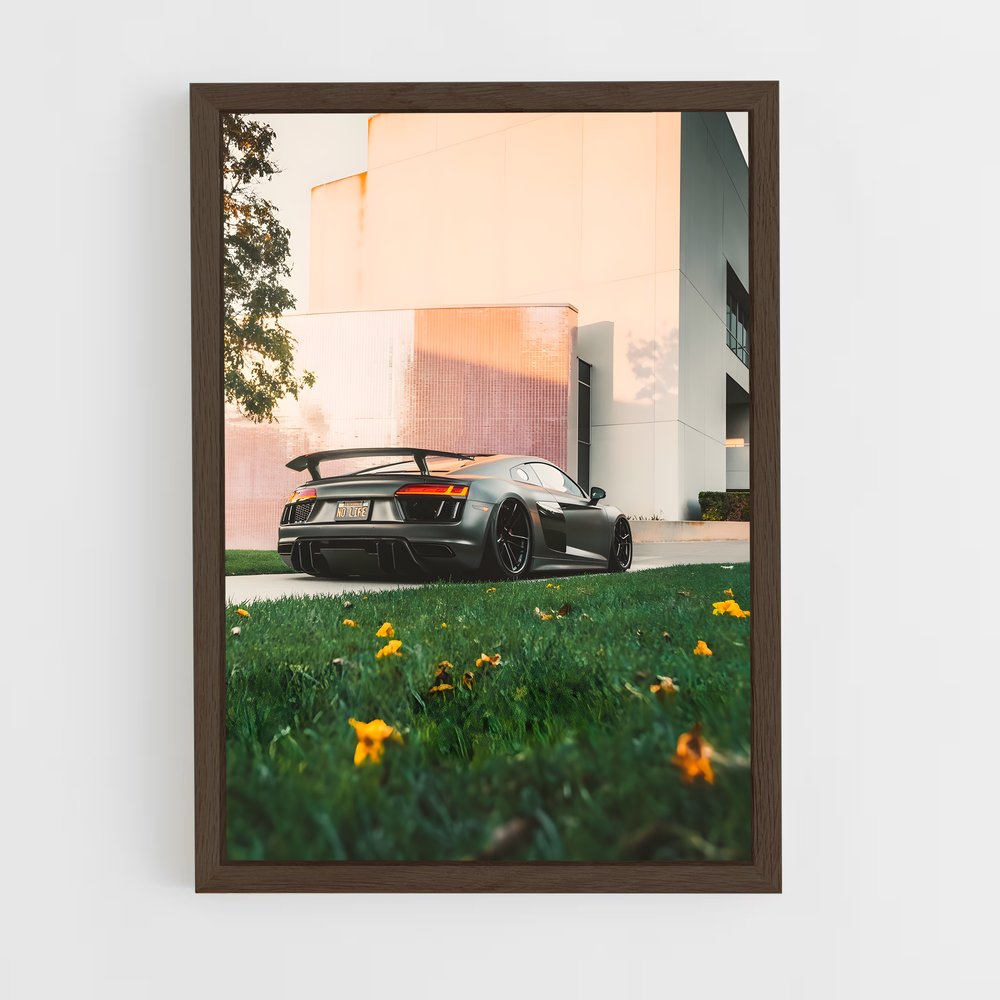 ap-r8 v10 plus-2 cadre Bois foncé