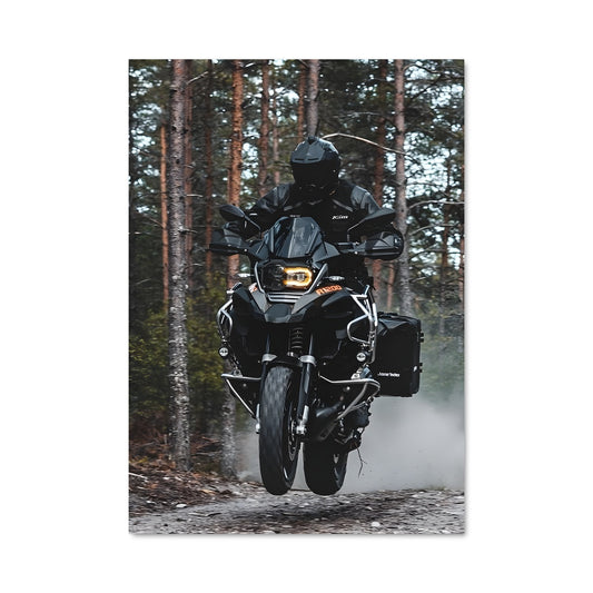 Poster R 1250 gs 81972