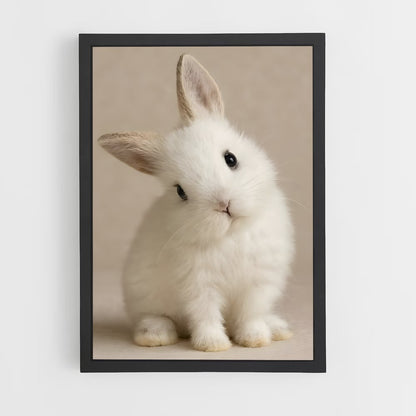 ap-rabbit-2 cadre Noir