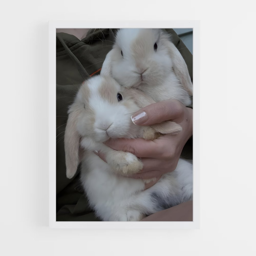 ap-rabbit-3 cadre Blanc