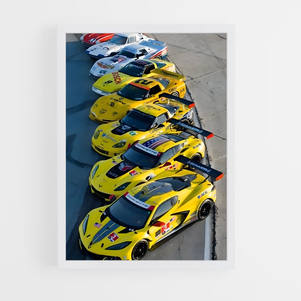 ap-racing vehicles-10 cadre Blanc