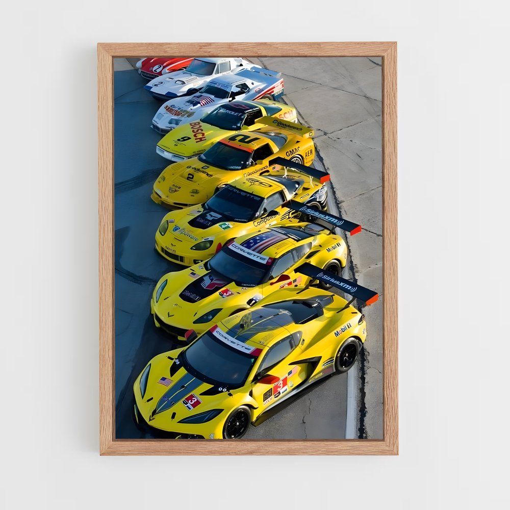 ap-racing vehicles-10 cadre Bois clair