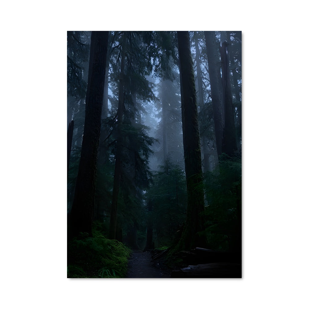 Poster Sentier Mystique