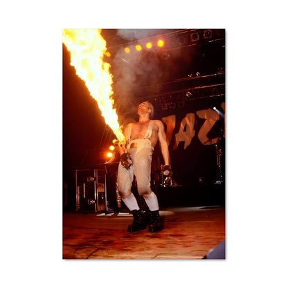 Poster Feuer und Stil