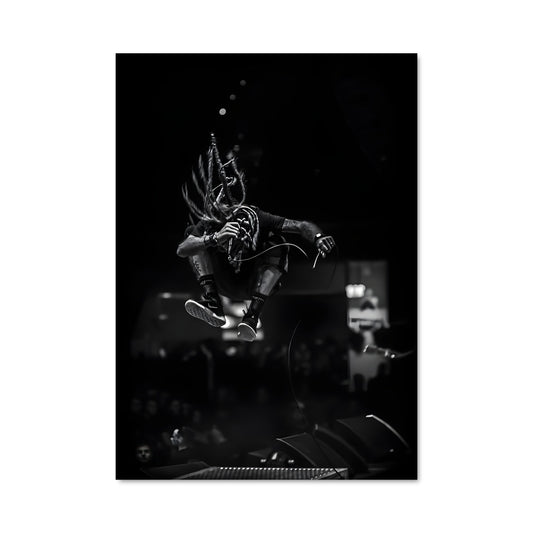 Poster Airborne Tricks