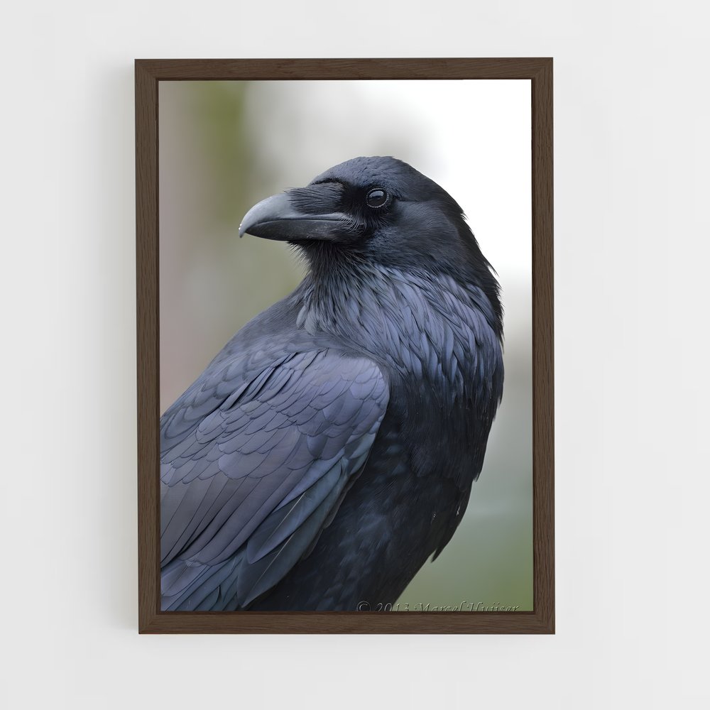 ap-raven-10 cadre Bois foncé