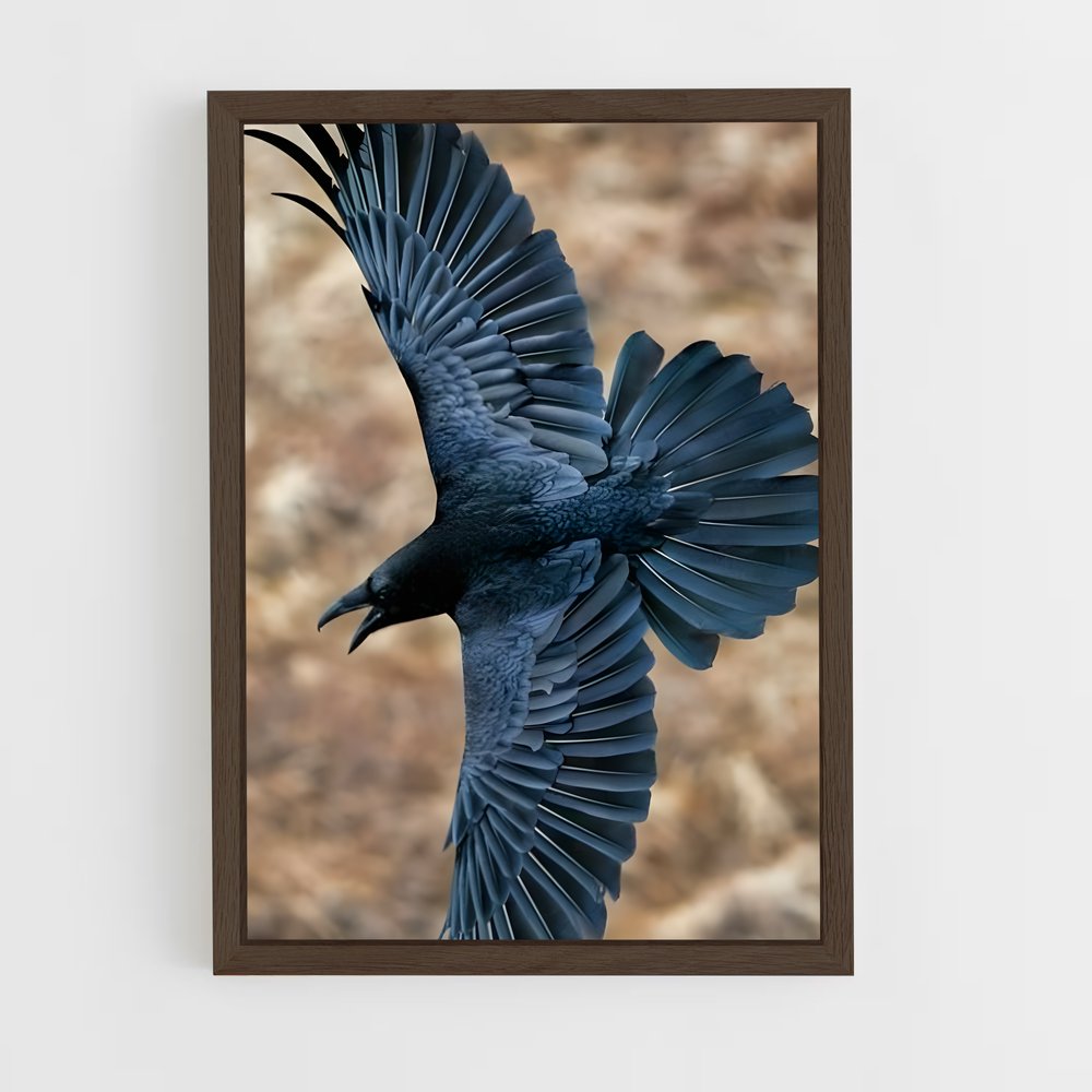 ap-raven-12 cadre Bois foncé