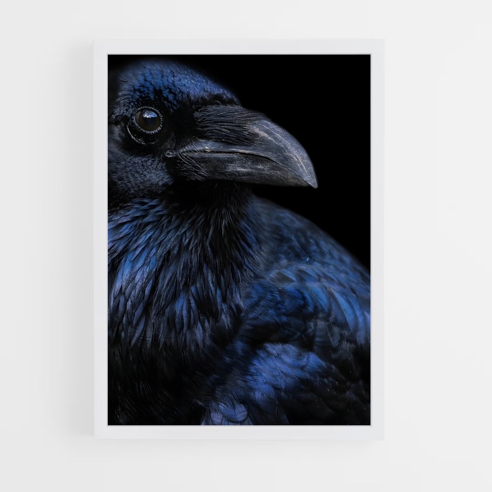 ap-raven-15 cadre Blanc