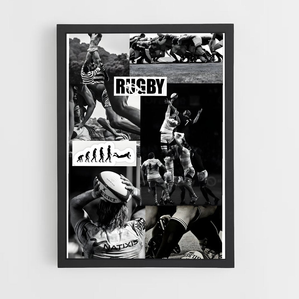 ap-rebels-1 cadre Noir