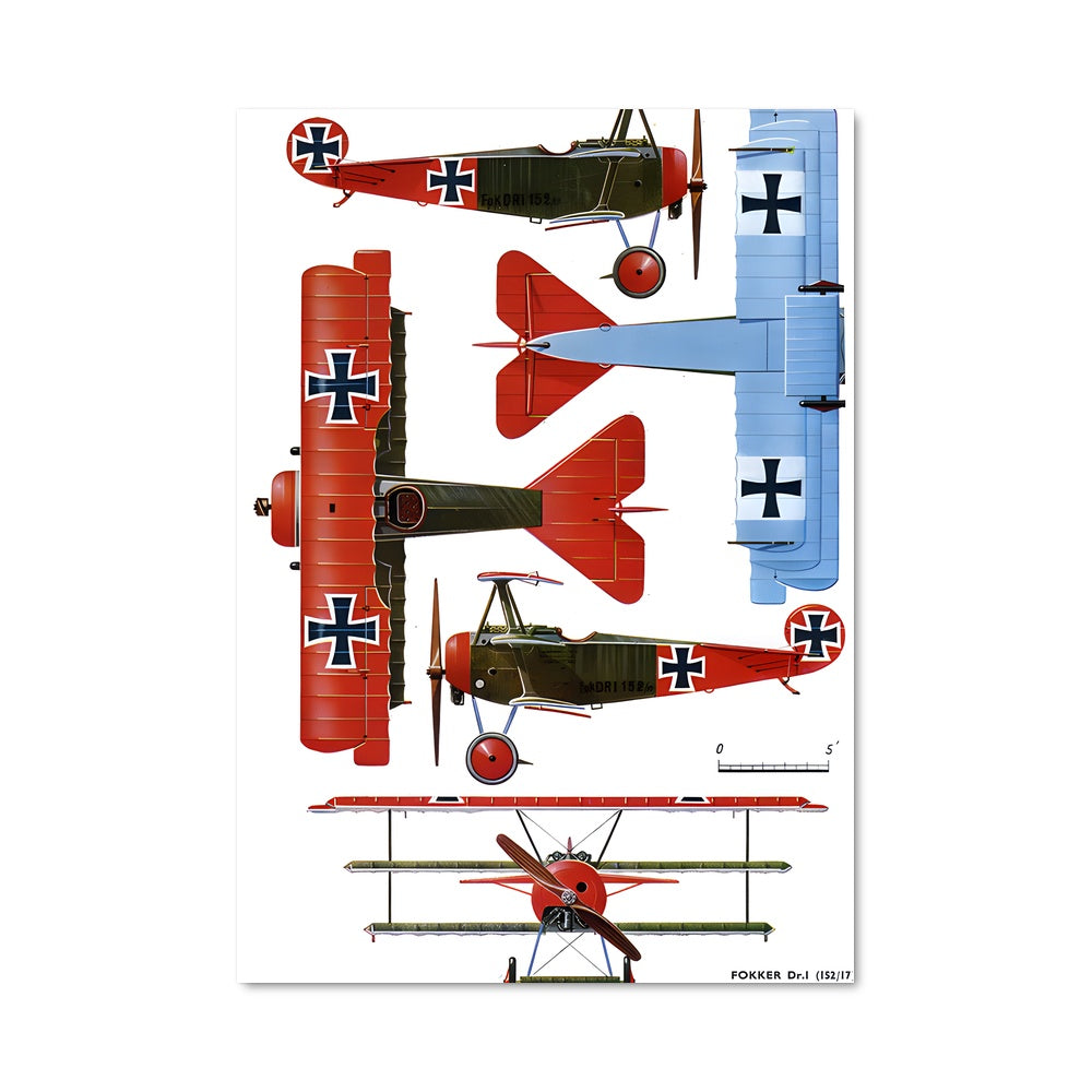 Poster Ailes Rouges et Bleues