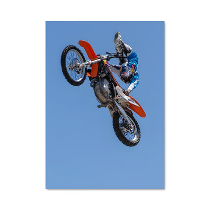 Poster Vol en Liberté