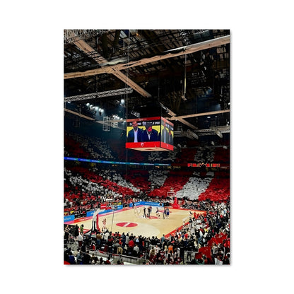 Poster Red star belgrade basketball 60243