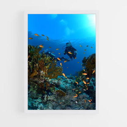 ap-red sea diving-1 cadre Blanc