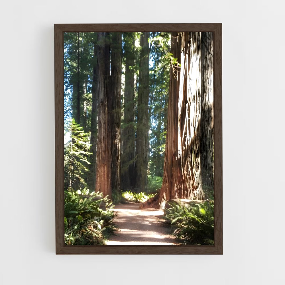 ap-redwood-5 cadre Bois foncé