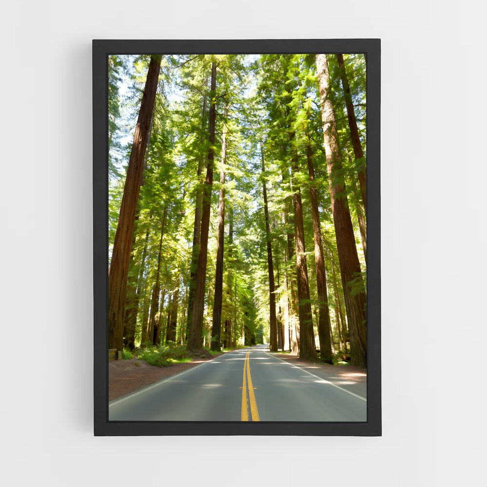 ap-redwood forest-4 cadre Noir
