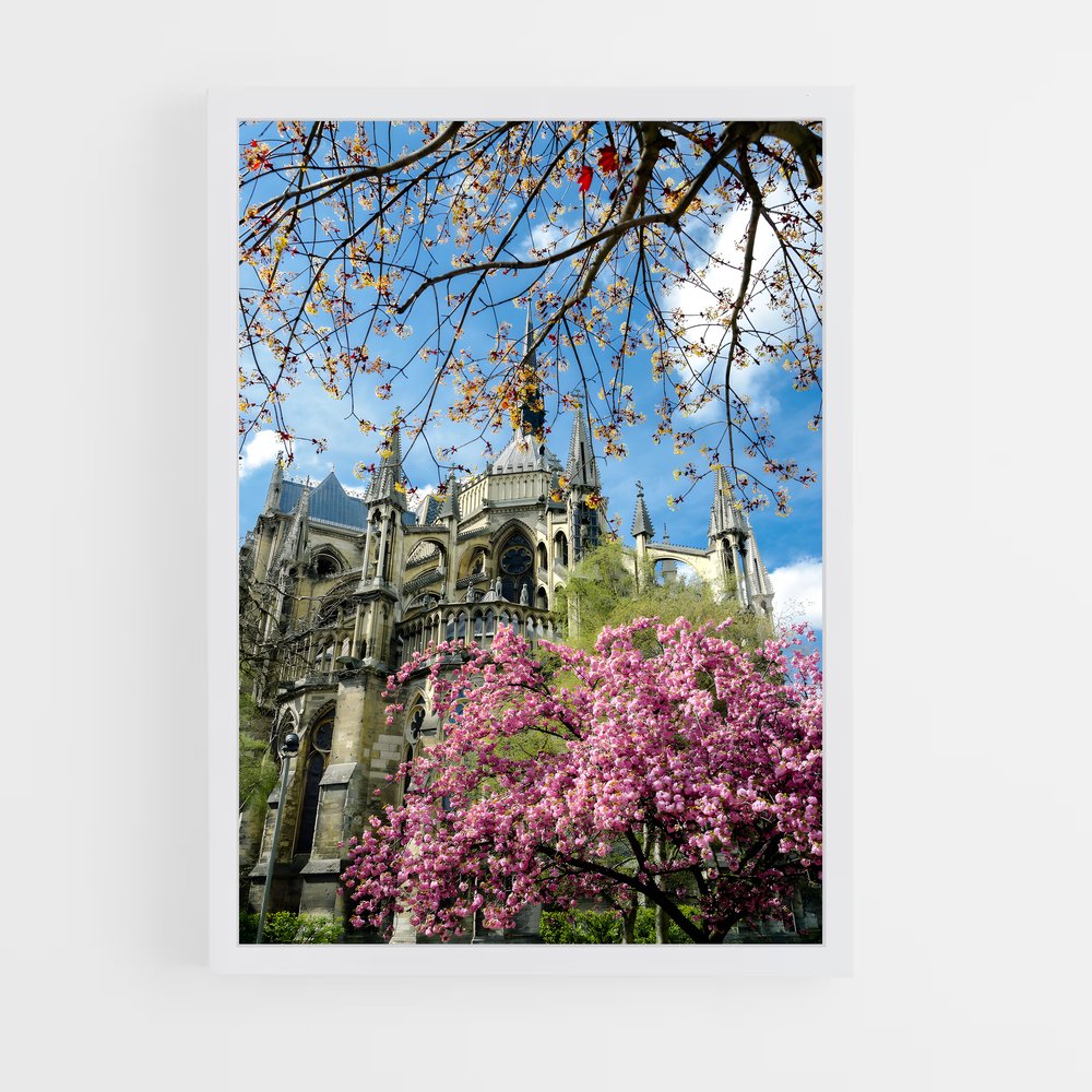 ap-reims-2 cadre Blanc