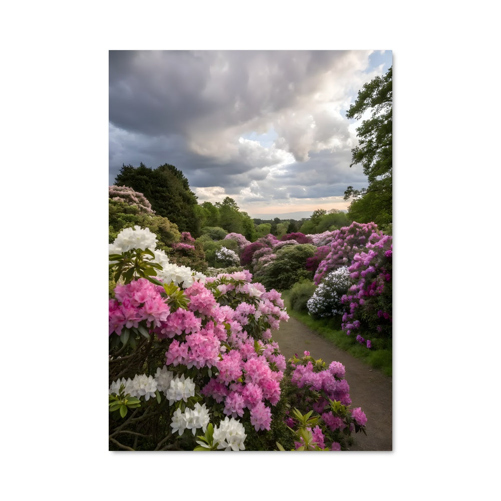 Poster Rhododendron Rêve
