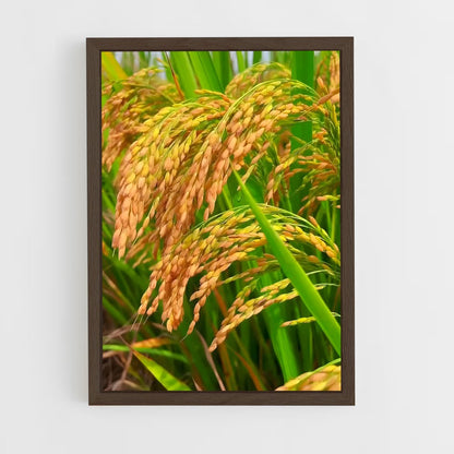 ap-rice-3 cadre Bois foncé