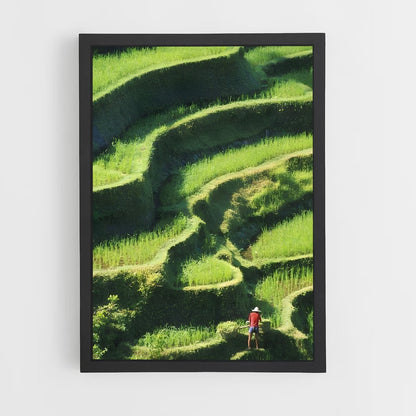 ap-rice-9 cadre Noir