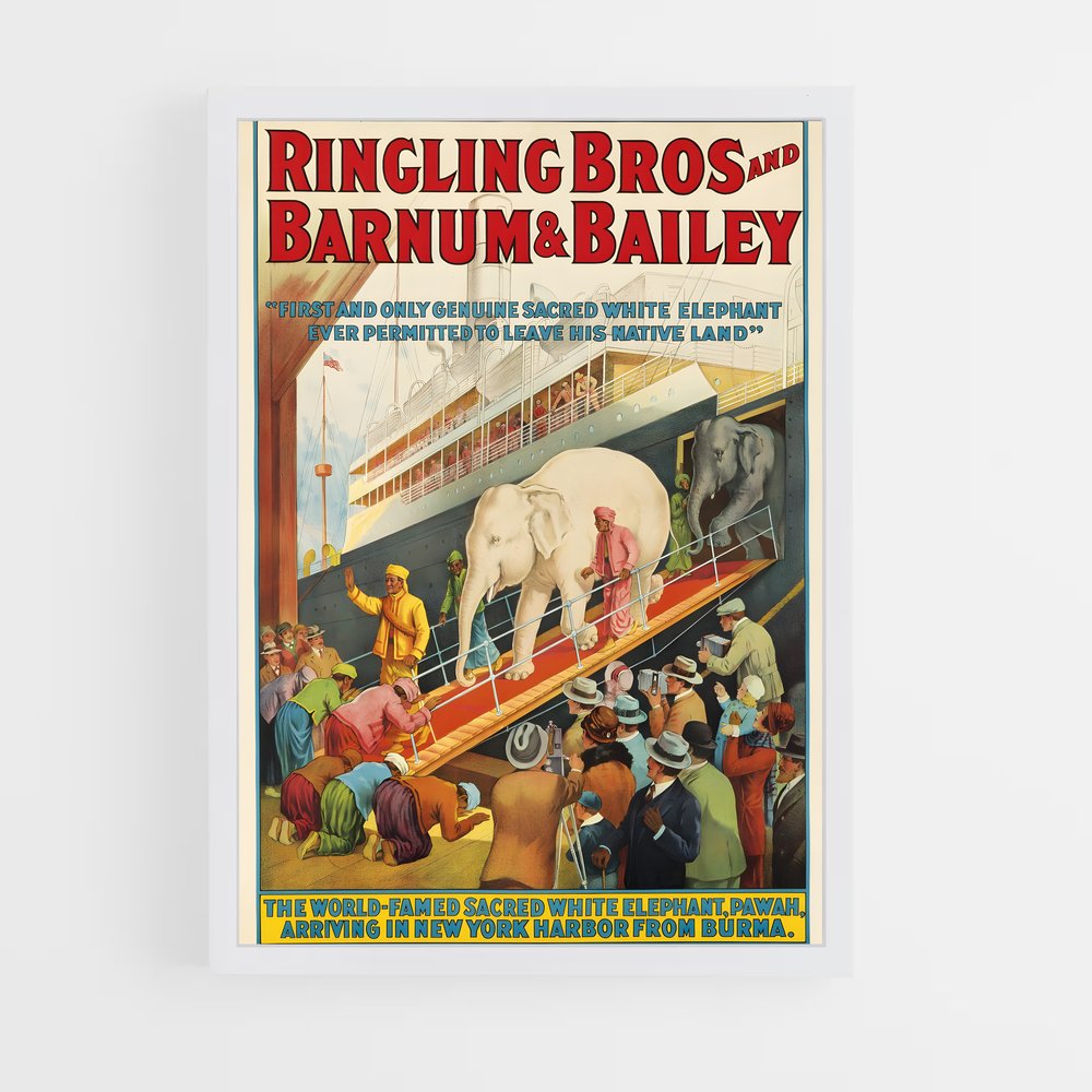 ap-ringling brothers-4 cadre Blanc