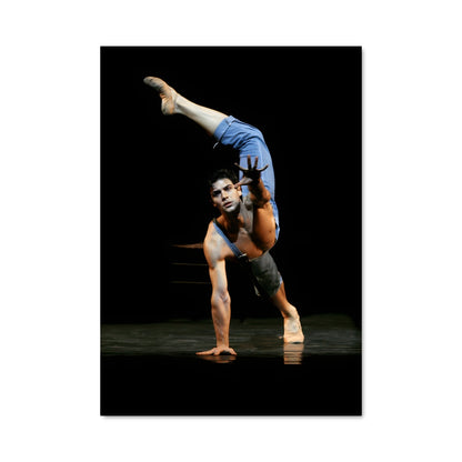 Poster Roberto bolle 65658