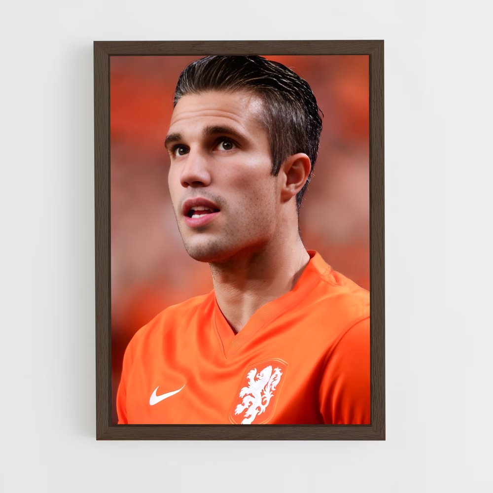 ap-robin van persie-7 cadre Bois foncé