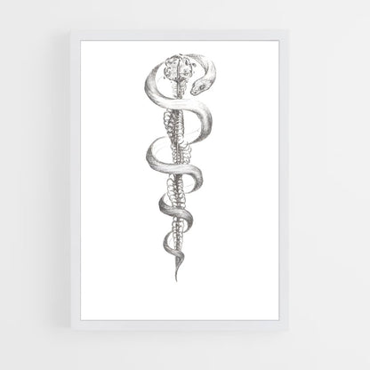 ap-rod of asclepius-2 cadre Blanc