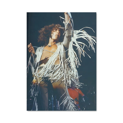 Poster Roger daltrey 56849