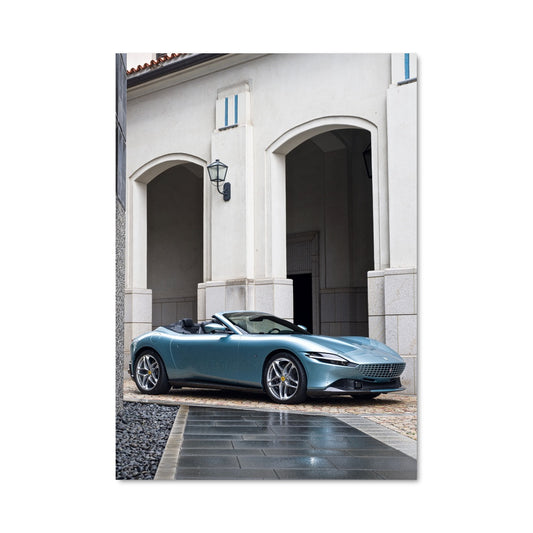 Poster Roma spider 77254
