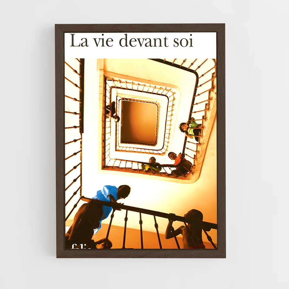 ap-romain gary-8 cadre Bois foncé