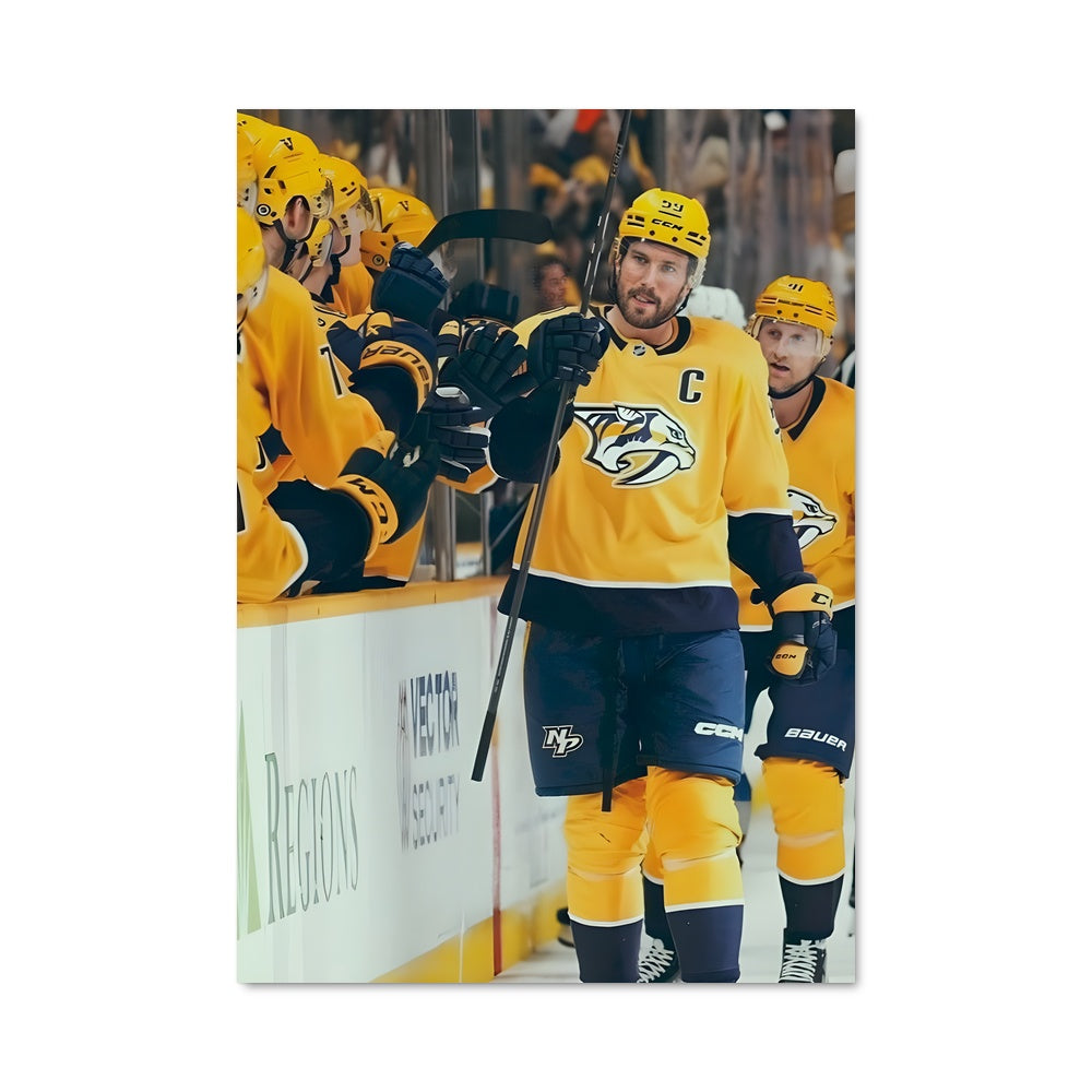 Poster Nashville On Ice