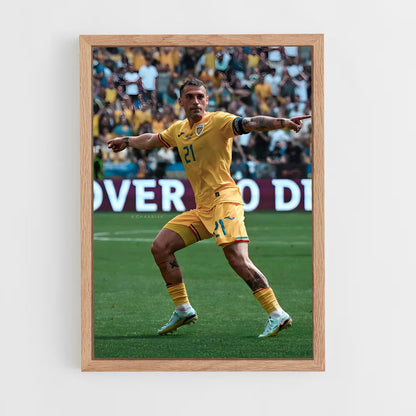 ap-romania national football team-3 cadre Bois clair